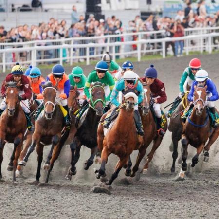 Казань готовится принять самые престижные скачки России и международный турнир по конкуру