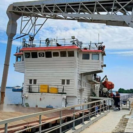 В Татарстане первая экспортная партия пшеницы нового урожая отправлена в Египет В Татарстане первая экспортная партия пшеницы нового урожая отправлена в Египет