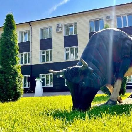 &laquo;Элита&raquo; предлагает выгодные условия на семя племенных быков