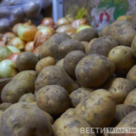 В Татарстане зафиксировано значительное снижение цен на некоторые продукты