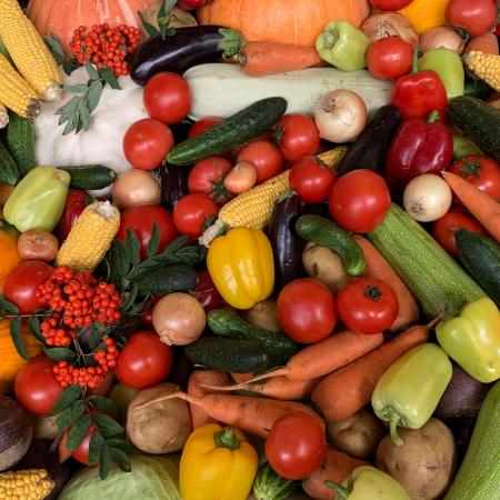 Уже завтра вновь откроются традиционные сельскохозяйственные ярмарки