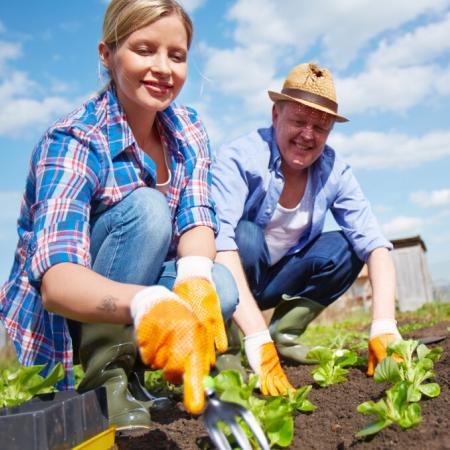Сколько времени дается на освоение участка в СНТ? Сколько времени дается на освоение участка в СНТ?