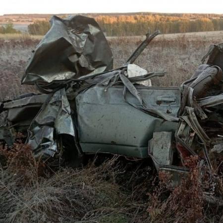 В Башкирии трое молодых людей погибли в ДТП с лошадью В Башкирии трое молодых людей погибли в ДТП с лошадью