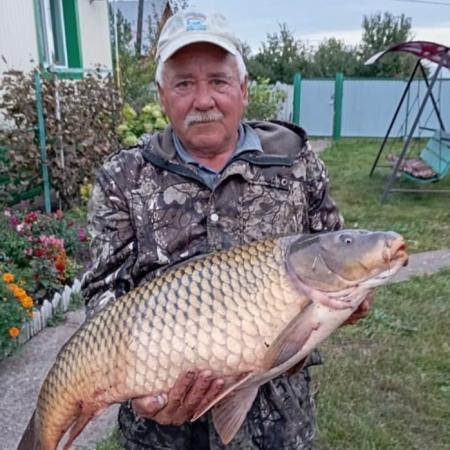 В Башкирии поймали гигантского карпа В Башкирии поймали гигантского карпа