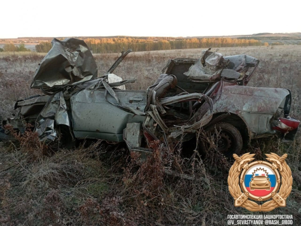 В Башкирии трое молодых людей погибли в ДТП с лошадью В Башкирии трое молодых людей погибли в ДТП с лошадью